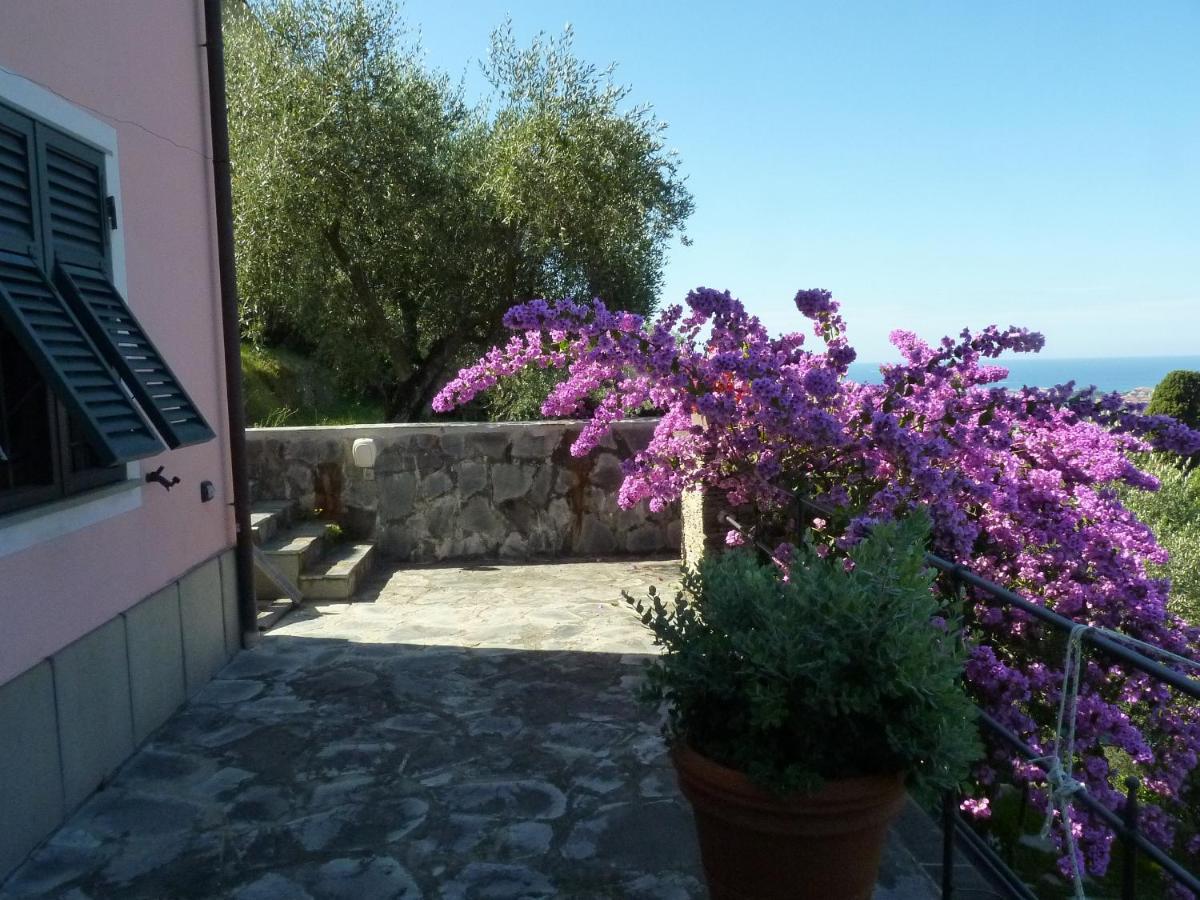 La Gatta Sul Sentiero Bed & Breakfast San Salvatore  Exterior photo