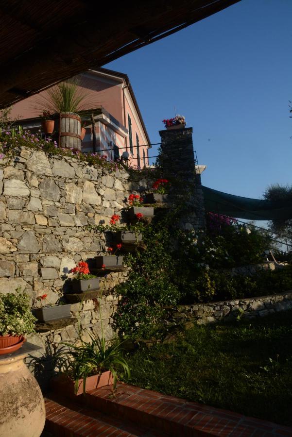 La Gatta Sul Sentiero Bed & Breakfast San Salvatore  Exterior photo