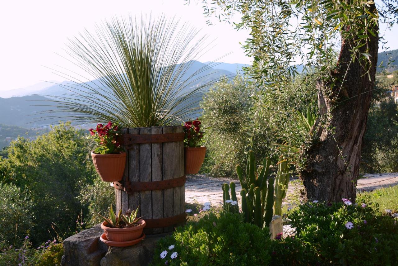 La Gatta Sul Sentiero Bed & Breakfast San Salvatore  Exterior photo